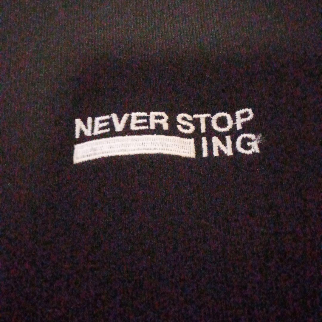 ノースフェイスネバーストップアイエヌジーセットアップ　L