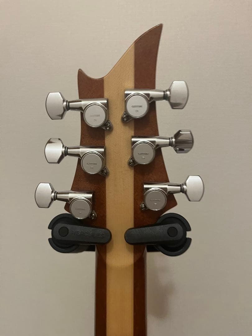 g-life g-phoenix ジーライフ　ギター　サスティニアック