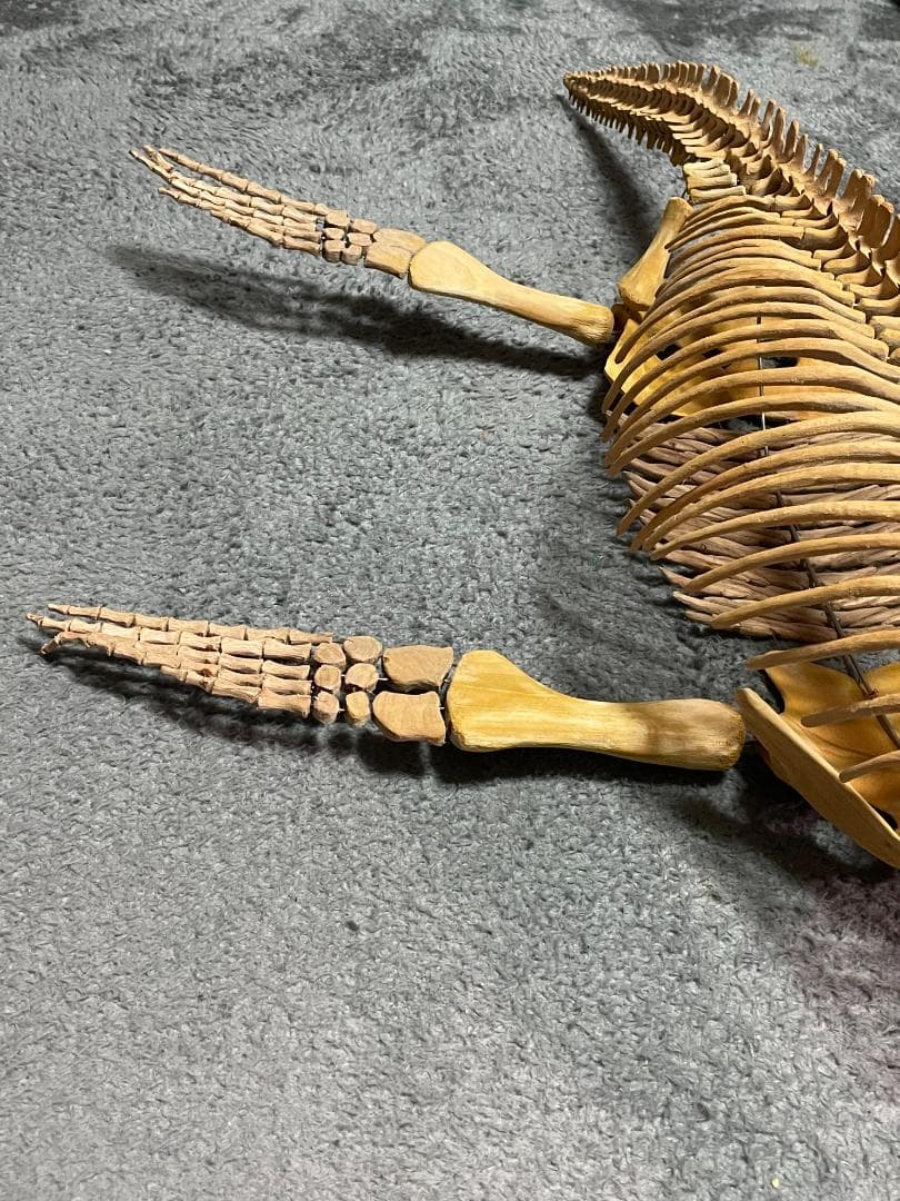 木彫　首長竜ロマレオサウルス　1/6全身骨格模型　112㎝