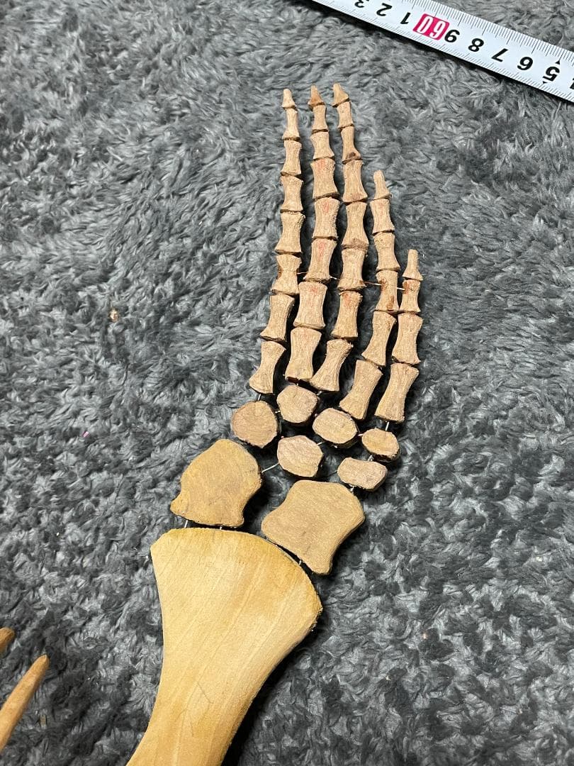 木彫　首長竜ロマレオサウルス　1/6全身骨格模型　112㎝