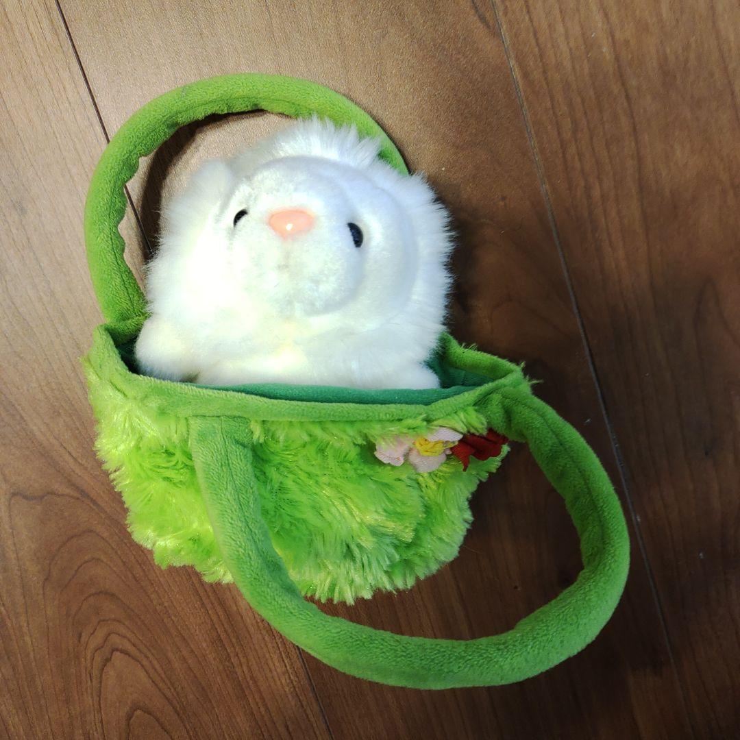 ほわいとらいおんさん