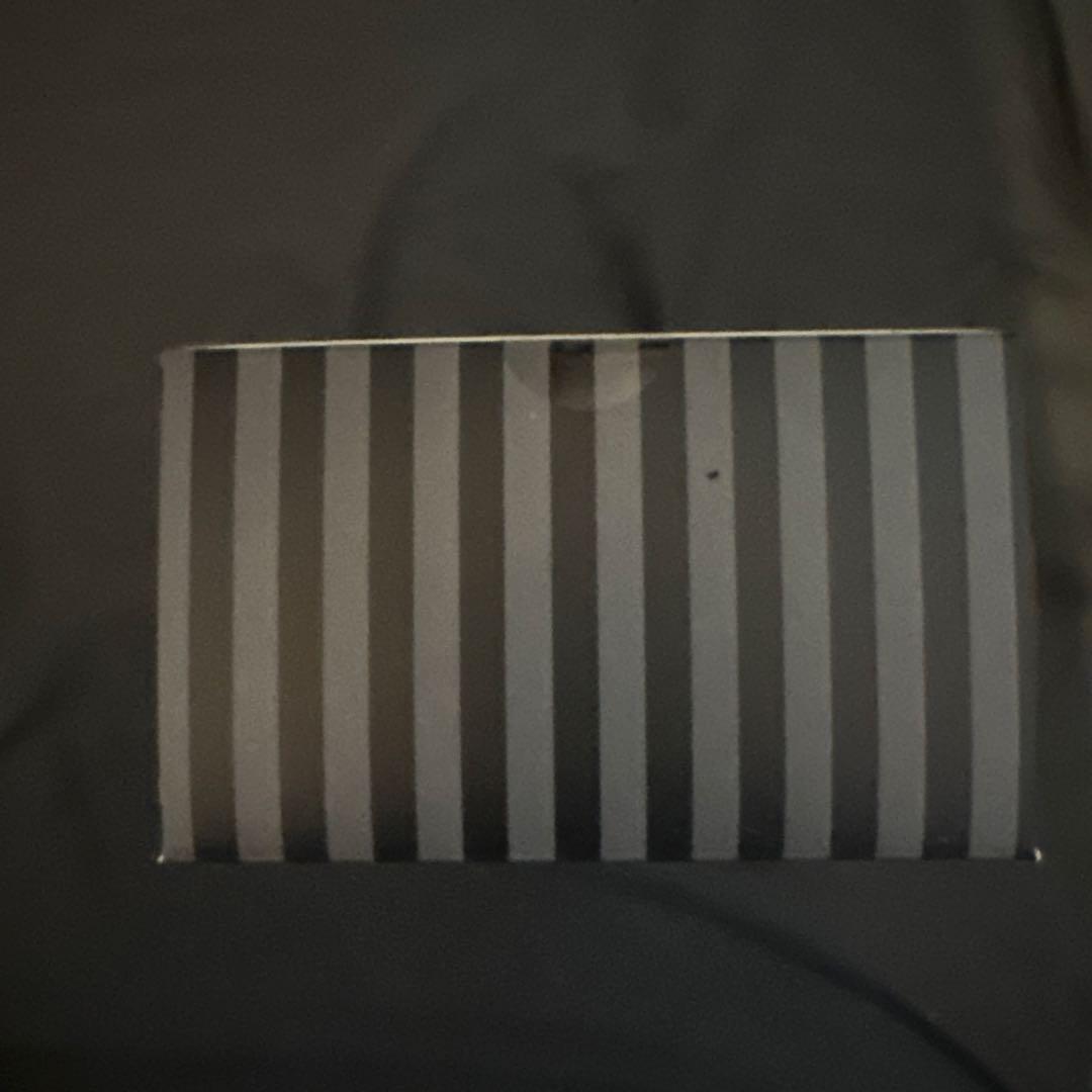 POP MART WEDNESDAY SKULLPANDA アメリカ限定