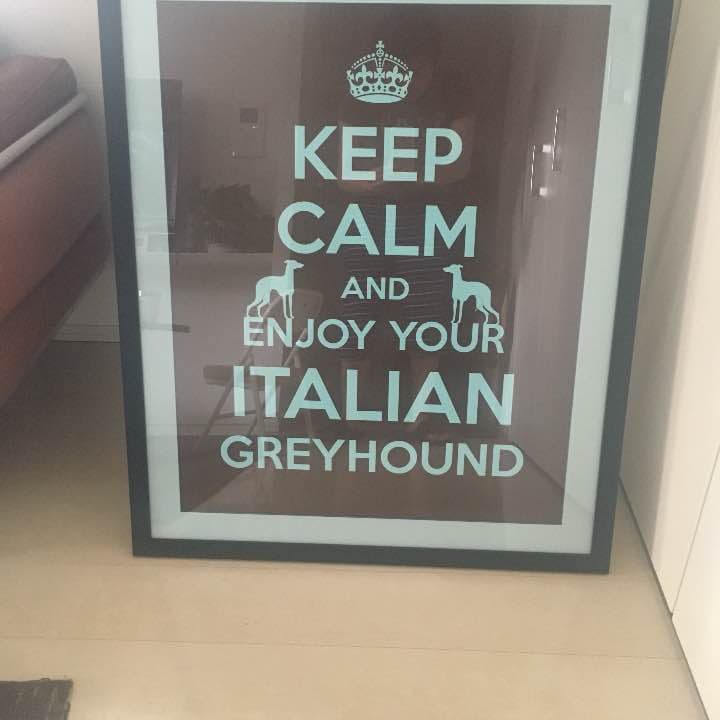 ポスター イタグレ 値下げしました