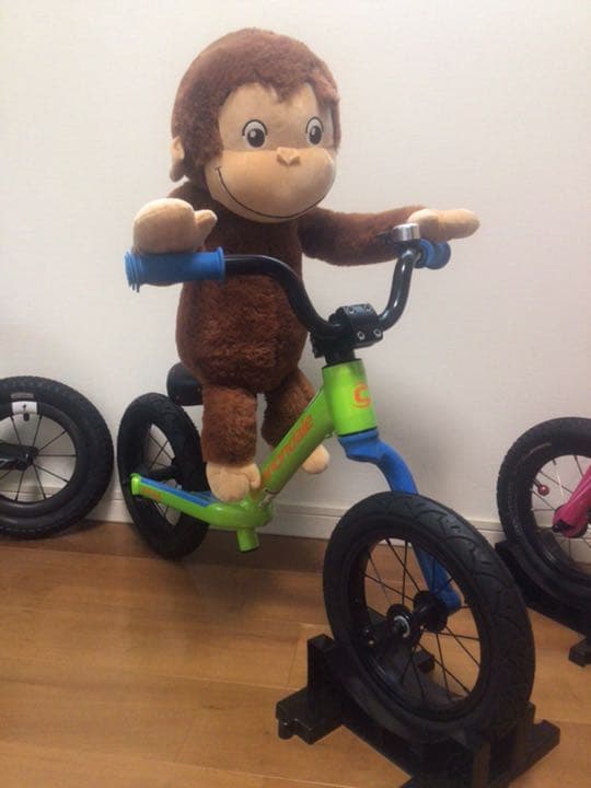 【確認用】キャノンデール ストライダー②グリーン