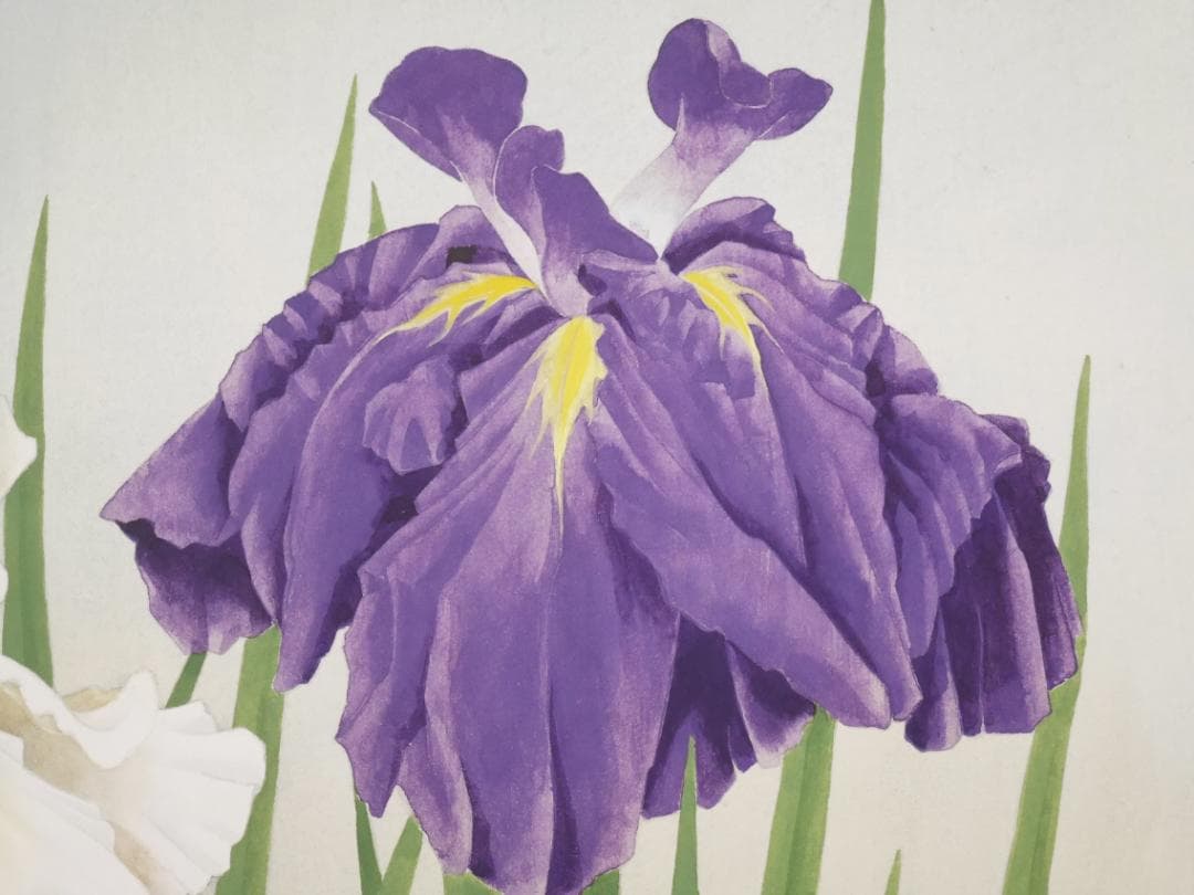 ★太巻高級掛軸【菖蒲　あやめ】日本画家　田中基美◆紙本肉筆　共箱付　日本画　花鳥