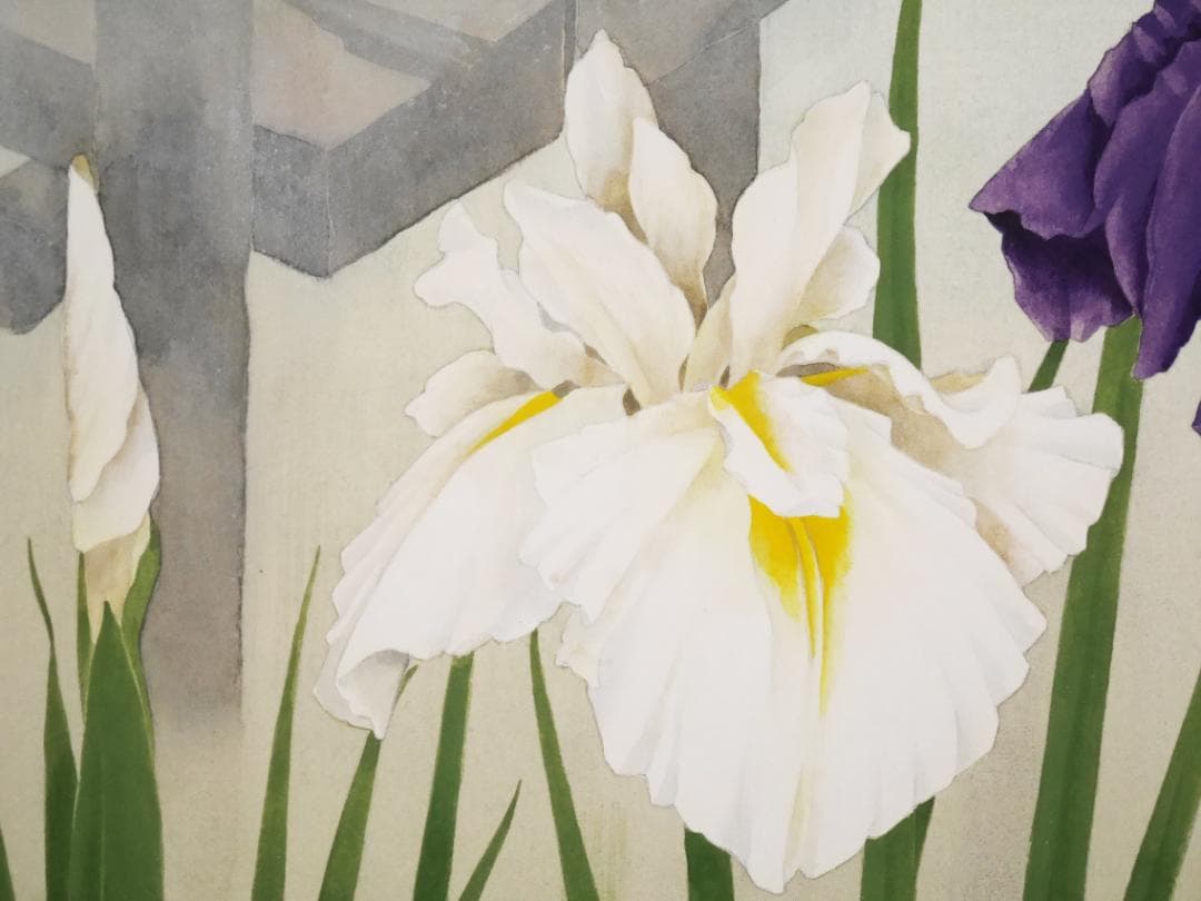 ★太巻高級掛軸【菖蒲　あやめ】日本画家　田中基美◆紙本肉筆　共箱付　日本画　花鳥