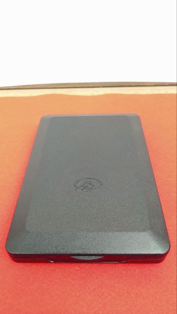 人見友紀　伝説の逃亡画家　ゴールドメダル　金メダル　グランプリ受賞メダル