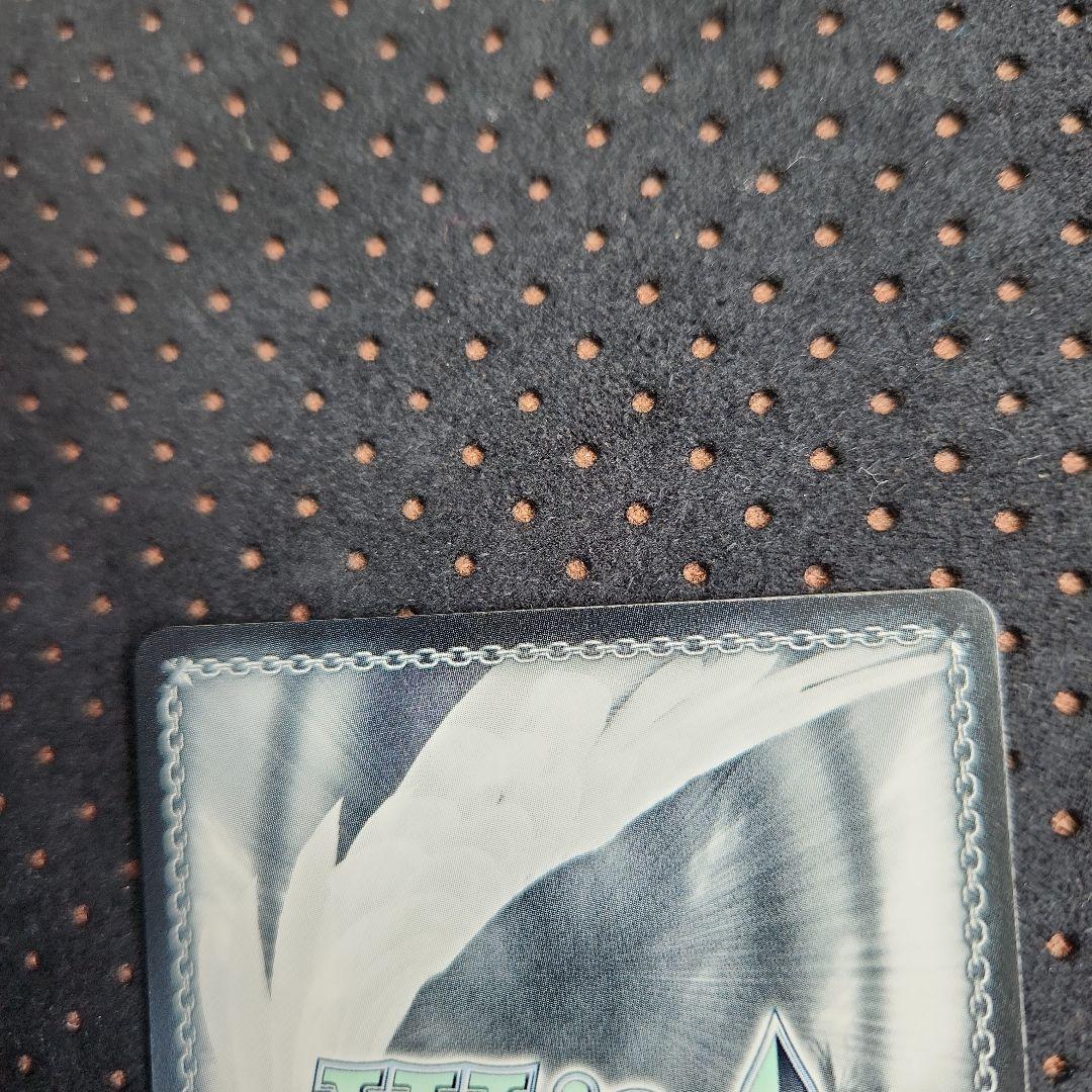 シャルム・シェルシュール 渋谷凛　SSP