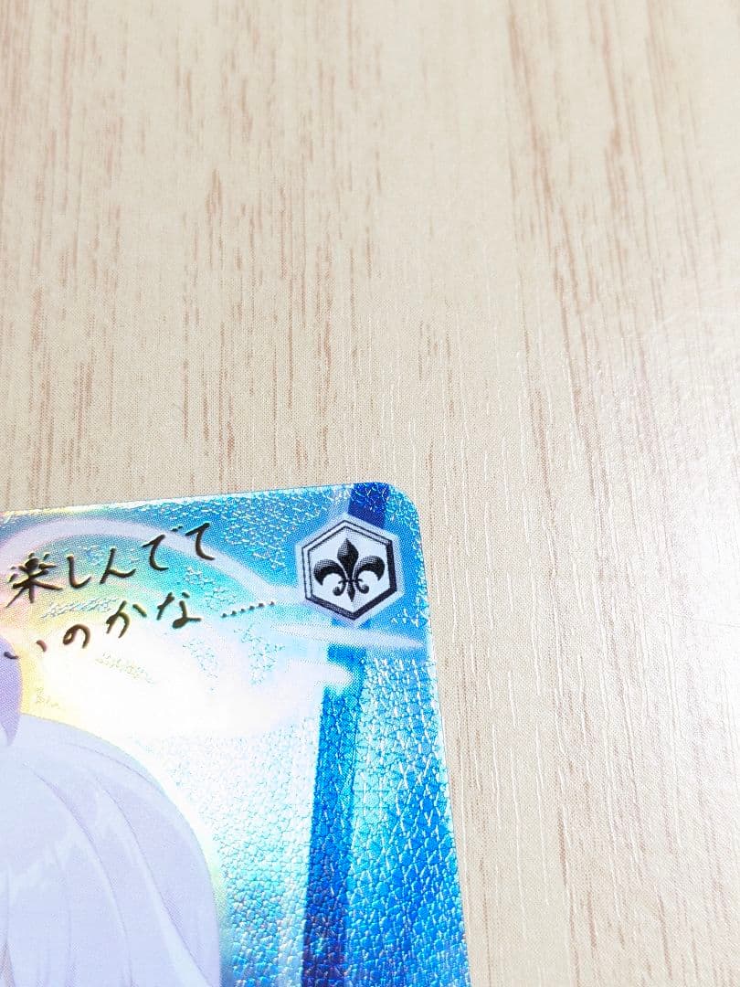 【BGS10】ヴァイス　ブルーアーカイブ　小鳥遊ホシノ　サインsp