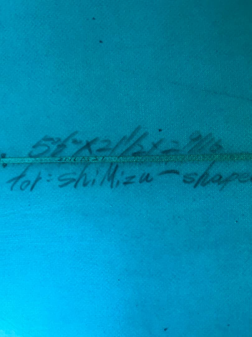 オルタナ　ツインフィッシュ