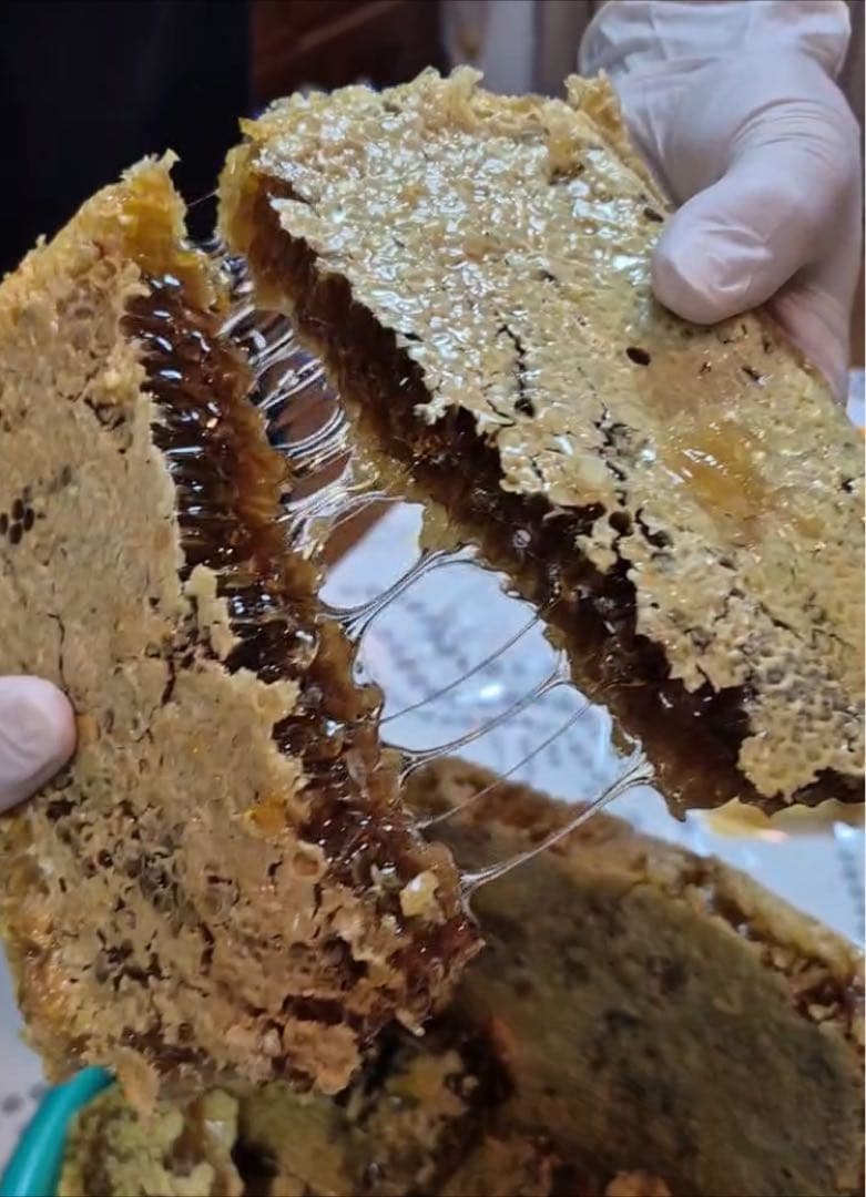 ニホンミツバチの巣蜜256g &はちみつ600g☆令和7年10月採り◆滋賀北部産