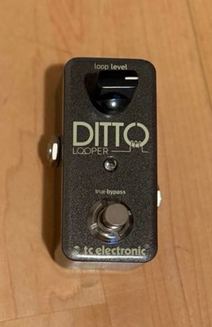 tc electronic DITTO LOOPER 美品
