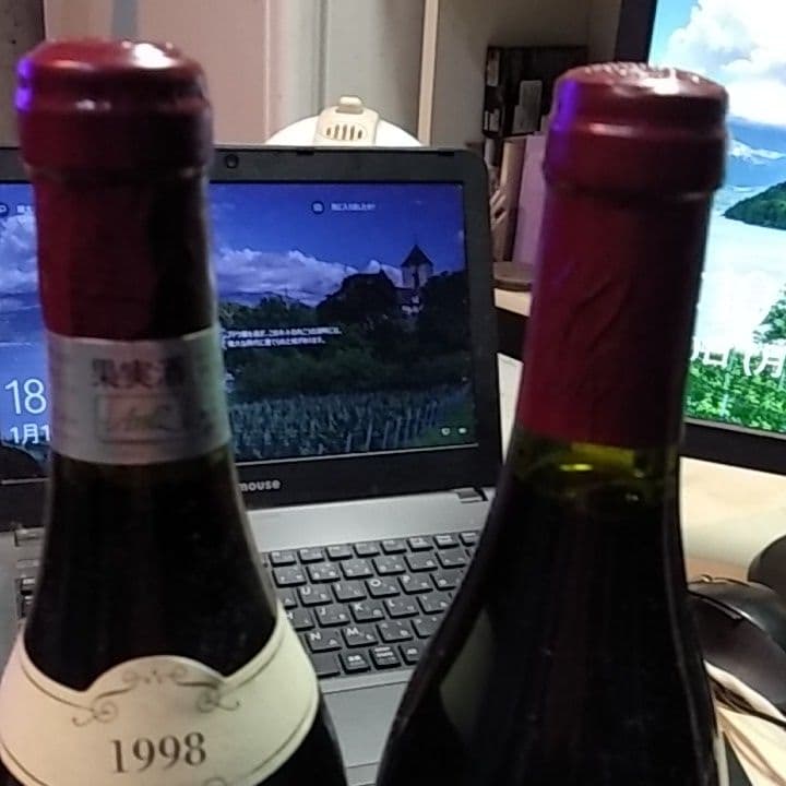 ボーヌロマネ1996