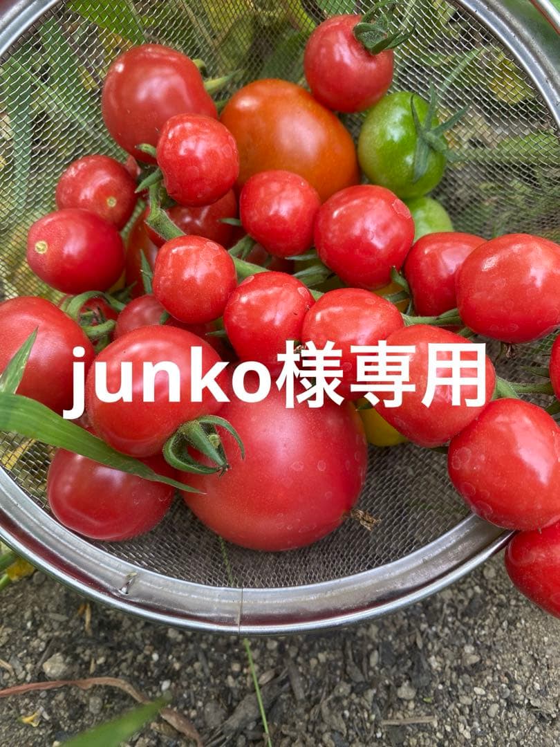 junkoです