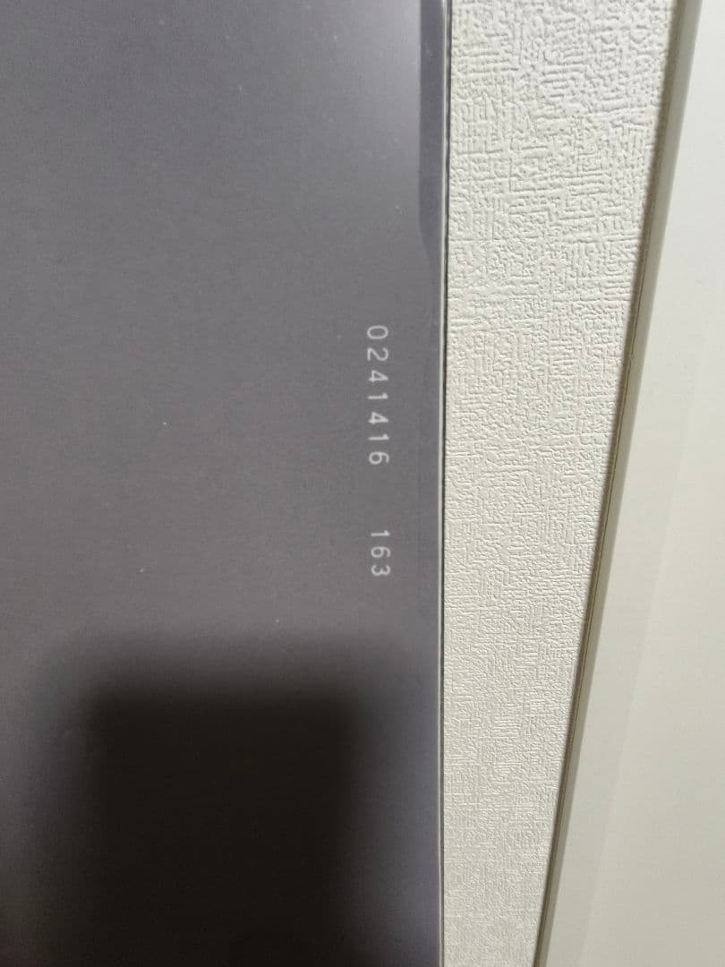 24-25 MOSS LEGIT 163 モス