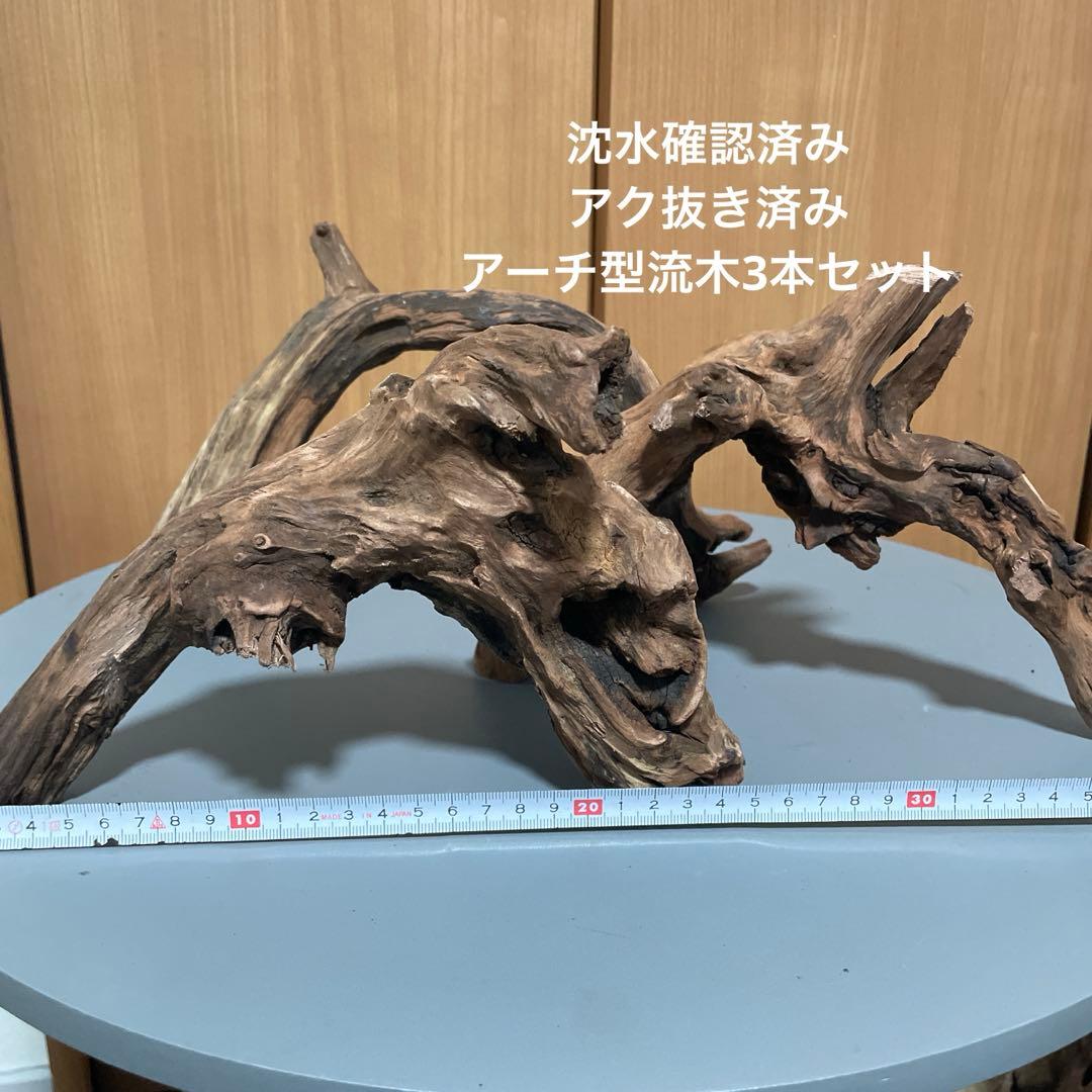一点物 アーチ型流木3本セット