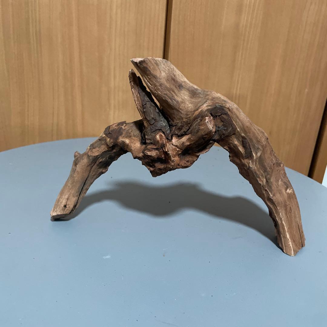 一点物 アーチ型流木3本セット