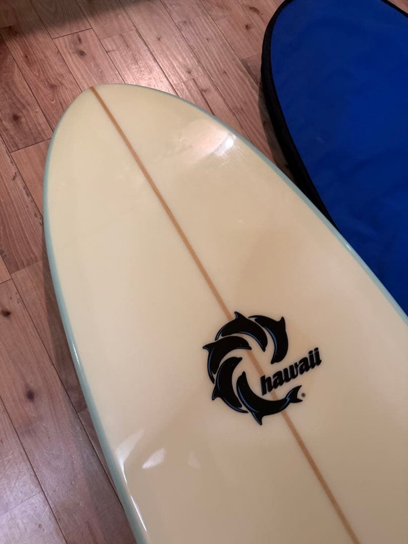 GARDUQUE 7/10 USA製 MID FCS G5 サーフボード