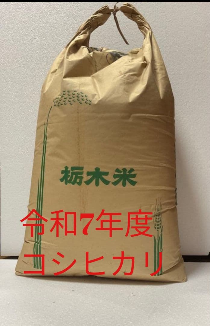 令和7年度　京都府産　コシヒカリ自家生産　説明欄必読　精米済み