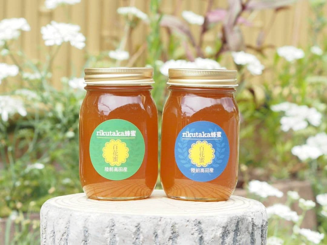 日本ミツバチ濃厚蜂蜜（600g✕2）