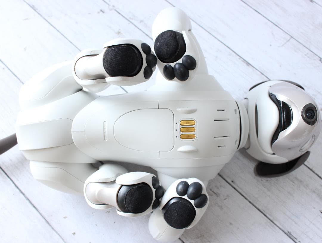 SONY AIBO アイボ 本体 ERS-1000 SIMカードなし