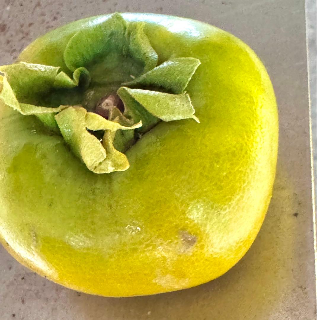 奈良県産たねなし柿 箱込み30キロ サイズSと2S家庭用