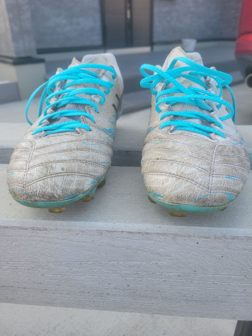 シューズ DS LIGHT X-FLY PRO LIMITED asics 25.5cm