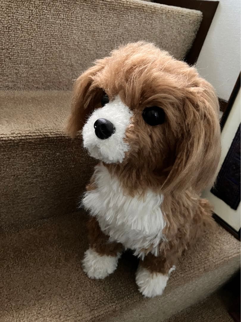 犬ぬいぐるみ　ミックス犬　ご確認用