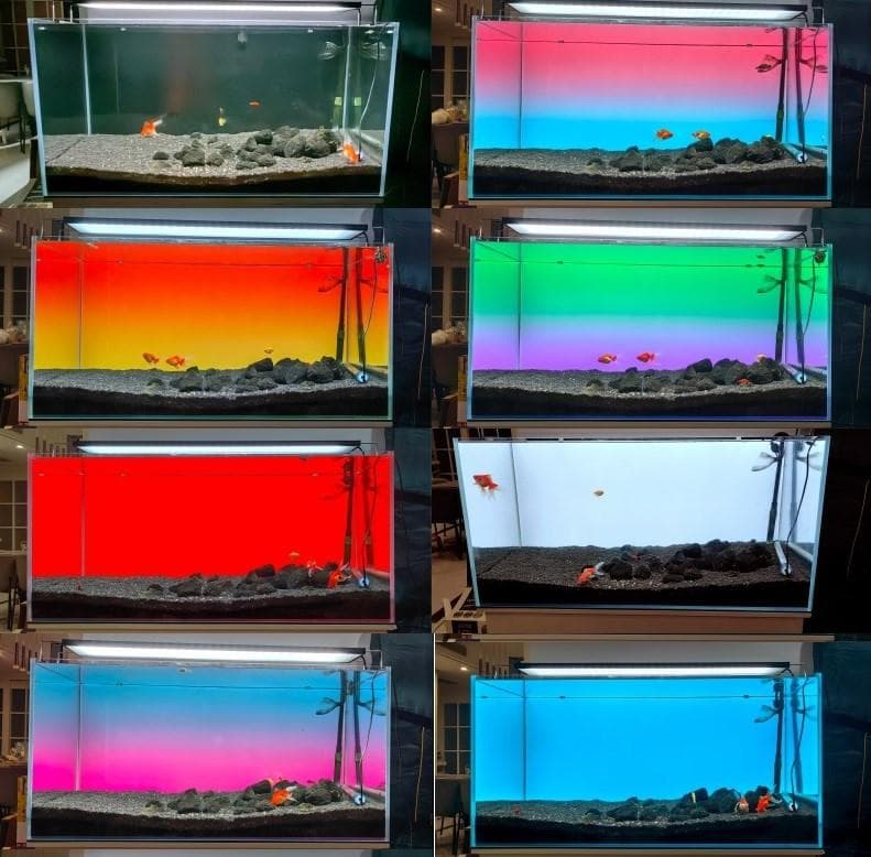 【b2l45】2色カラーLEDライトスクリーン OFF黒 45cm x 30cm