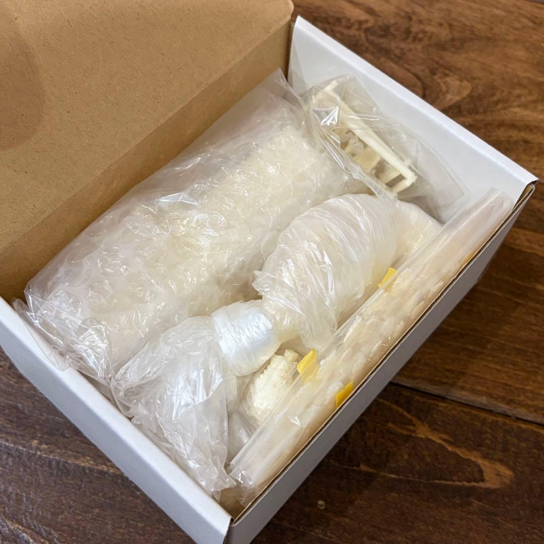 原型：しぃた θ ゴジラ第4形態覚醒Ver ガレージキット【内袋未開封】