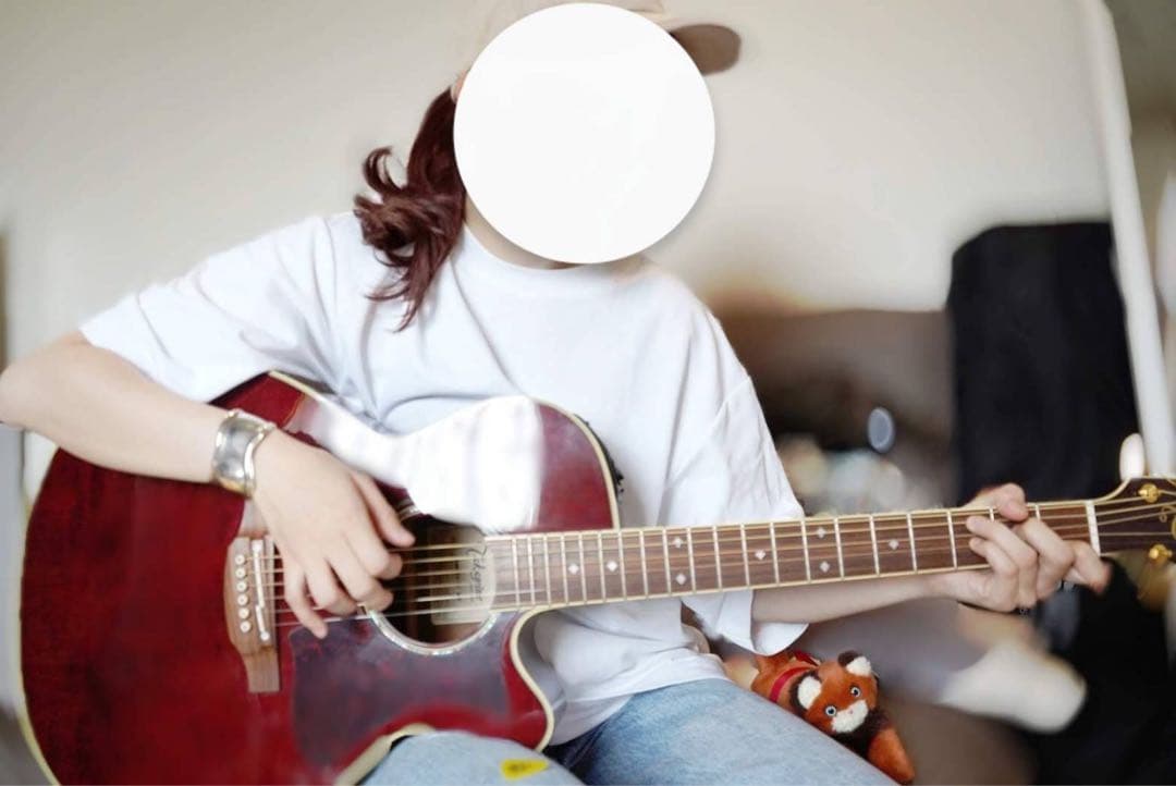 定価16万円 美品 Takamine DMP551C アコースティックギター