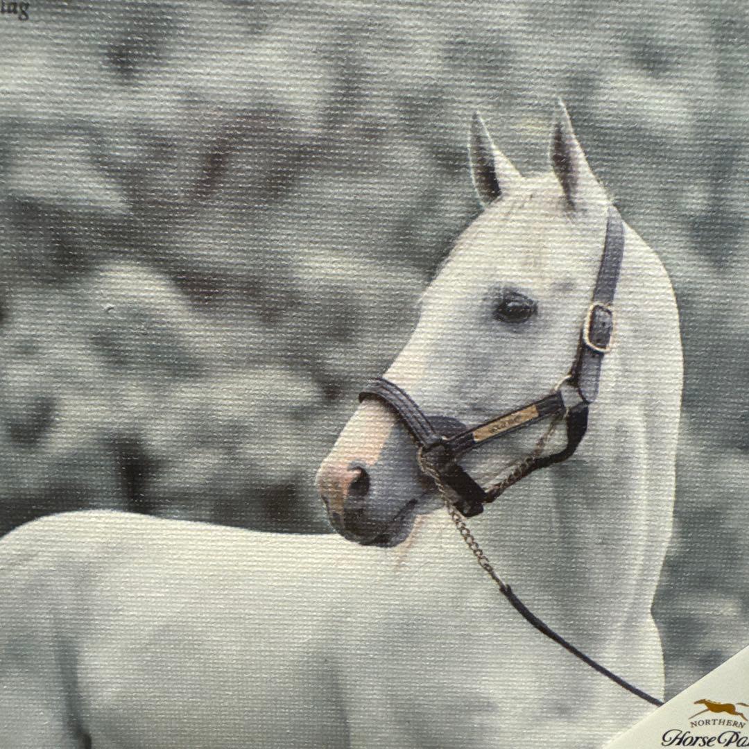限定品♡ゴールドシップ　インテリア　キャンバスボード　競馬/午年