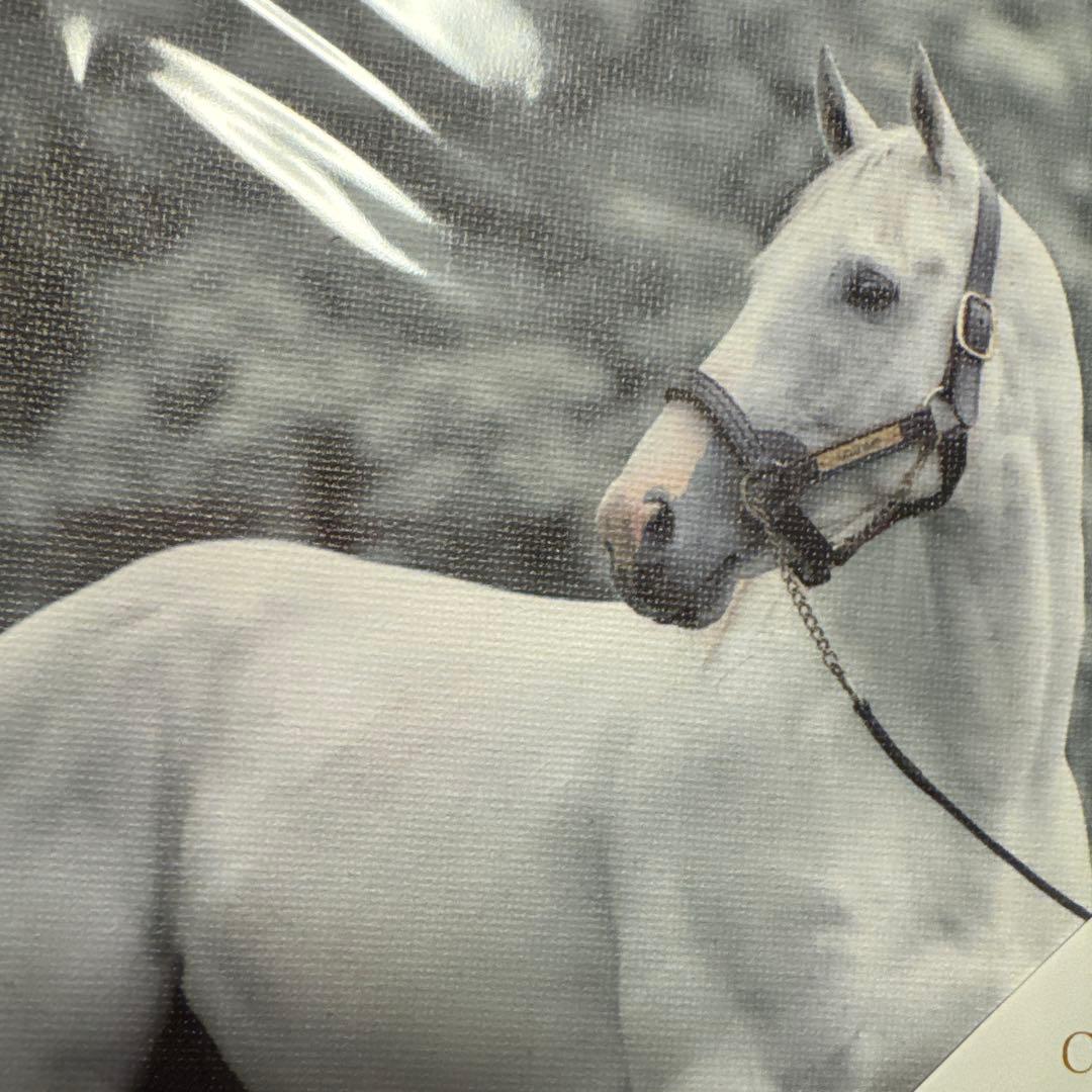 限定品♡ゴールドシップ　インテリア　キャンバスボード　競馬/午年