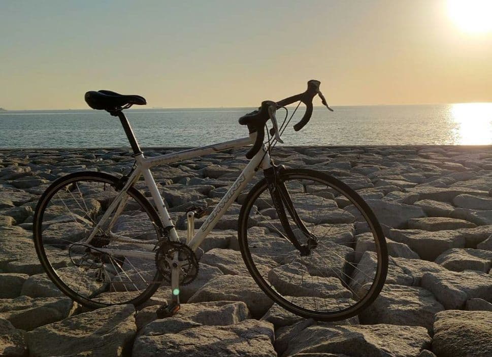 【千葉市引取限定】schwinn fast back ロードバイク