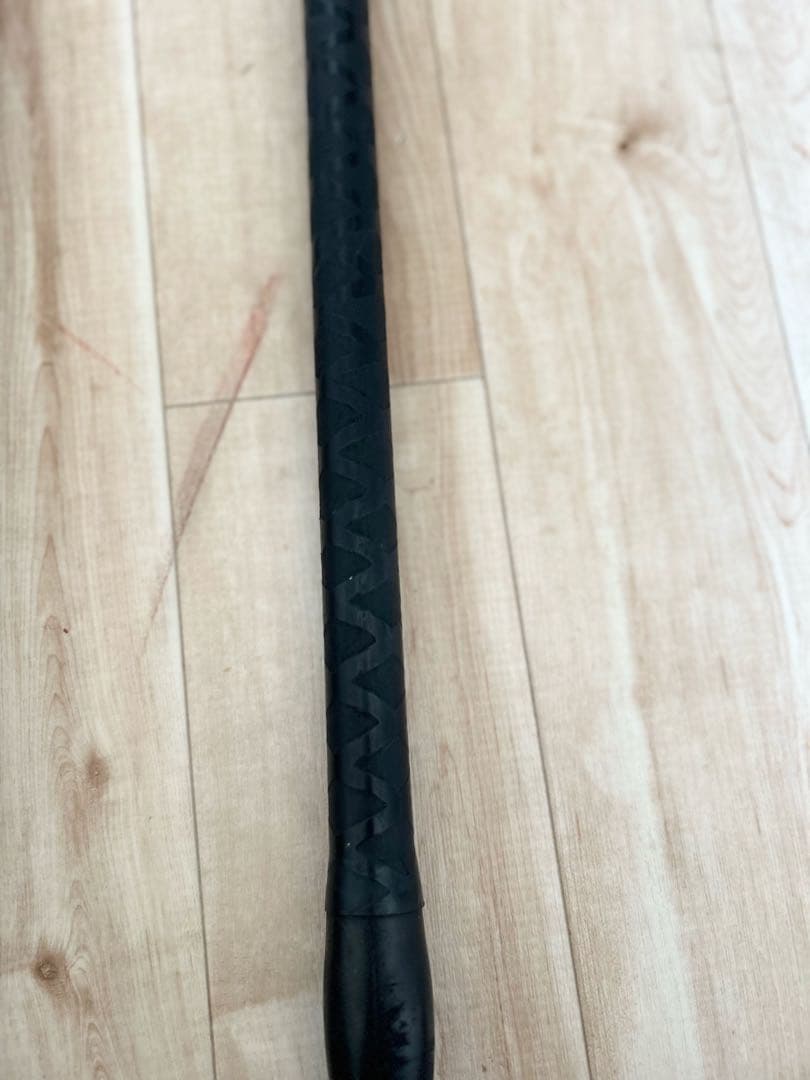 DAIWA ダイワ SIRIUS 投げ竿 2本 磯竿 釣竿 【3月まで】