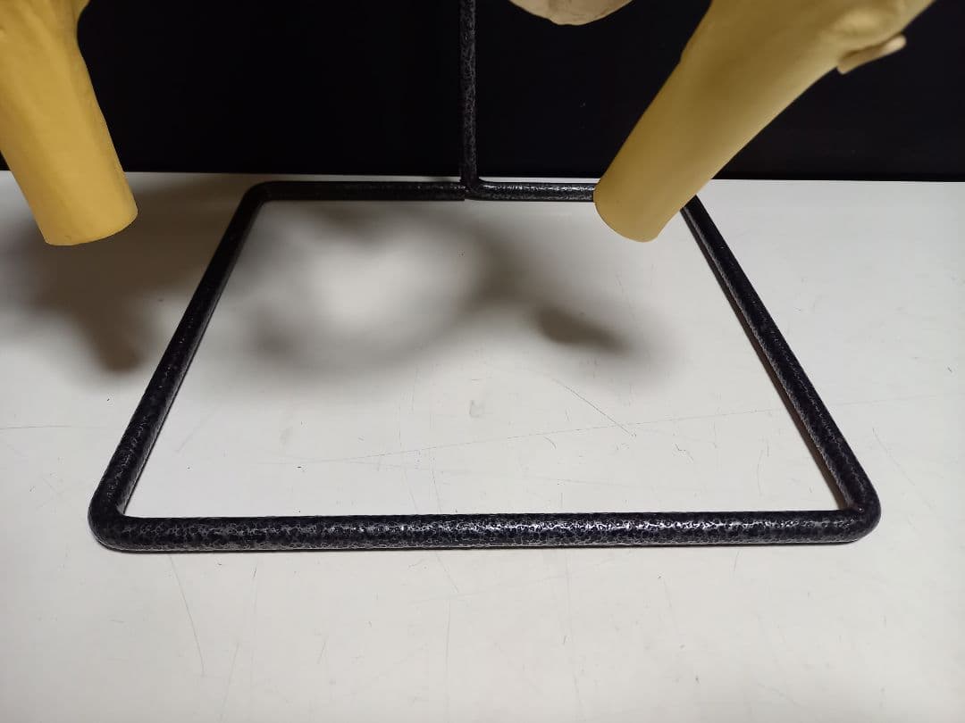 スタンド付き脊柱模型　骨格模型　椎骨　神経付　ドイツ製作品