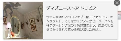 ★ピーター・パン アクセサリーケース ライトアップ ディズニーストア 30周年