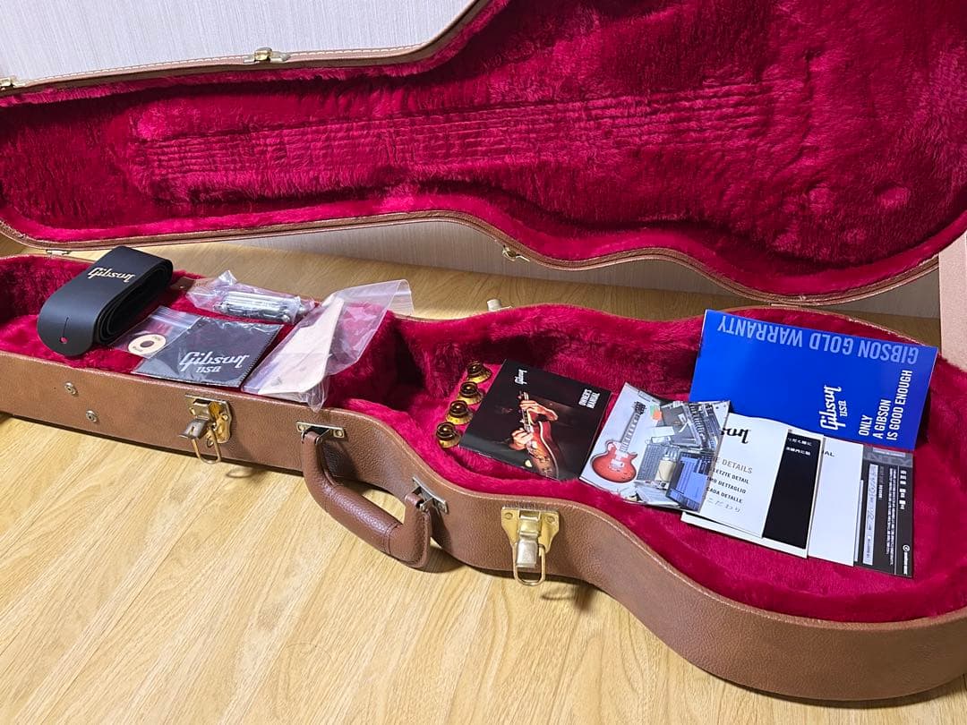 Gibson Les Paul standard ハードケース付き