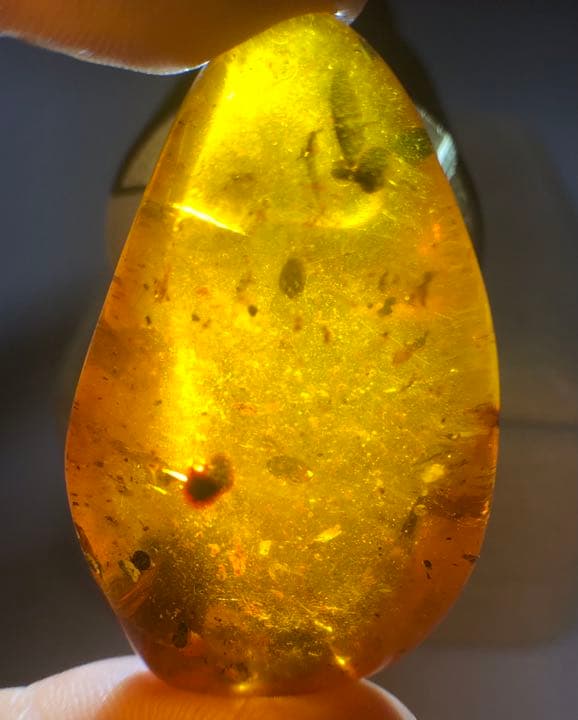 虫本琥珀 虫入りアンバー 即納 琥珀 ユニーク 天然石 宝石 化石