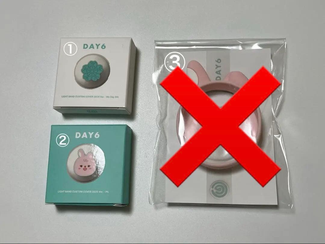 DAY6 ペンライトカバー セット ウォンピル