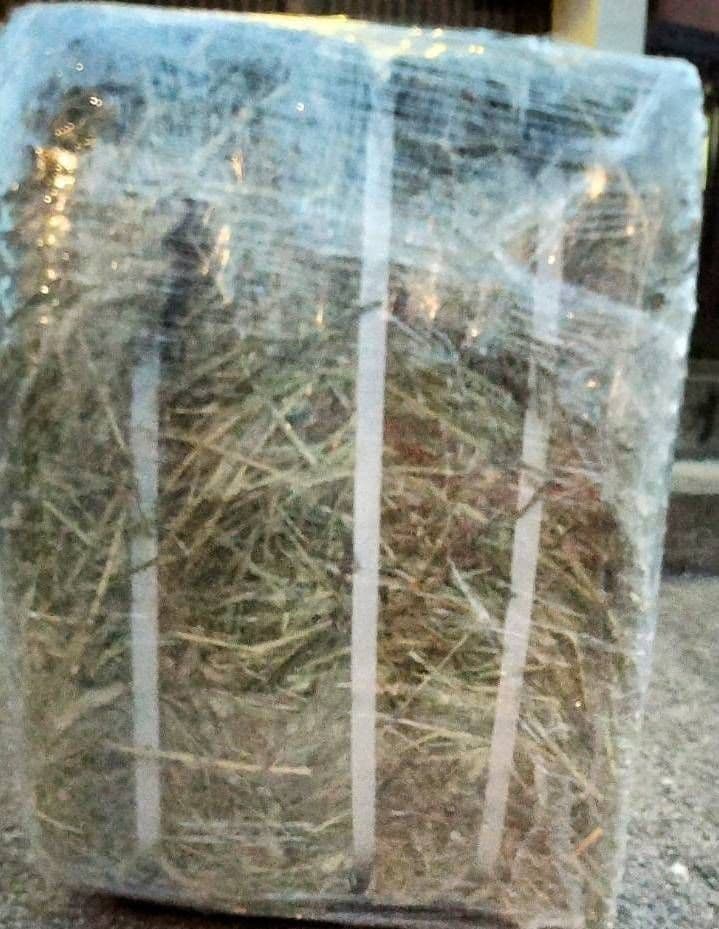 チモシー カナダ産３０kg