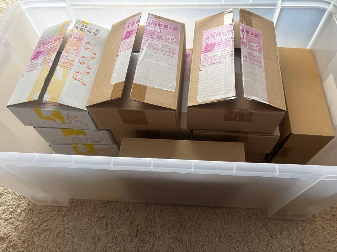 ポケモンカード　絶版BOX 11箱　トリプレットビート　151 黒炎等