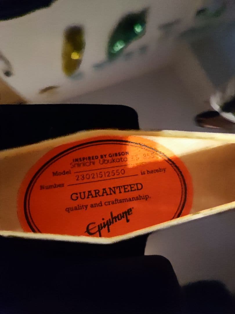 ギター Epiphone Shinichi Ubukata ES-355 V2