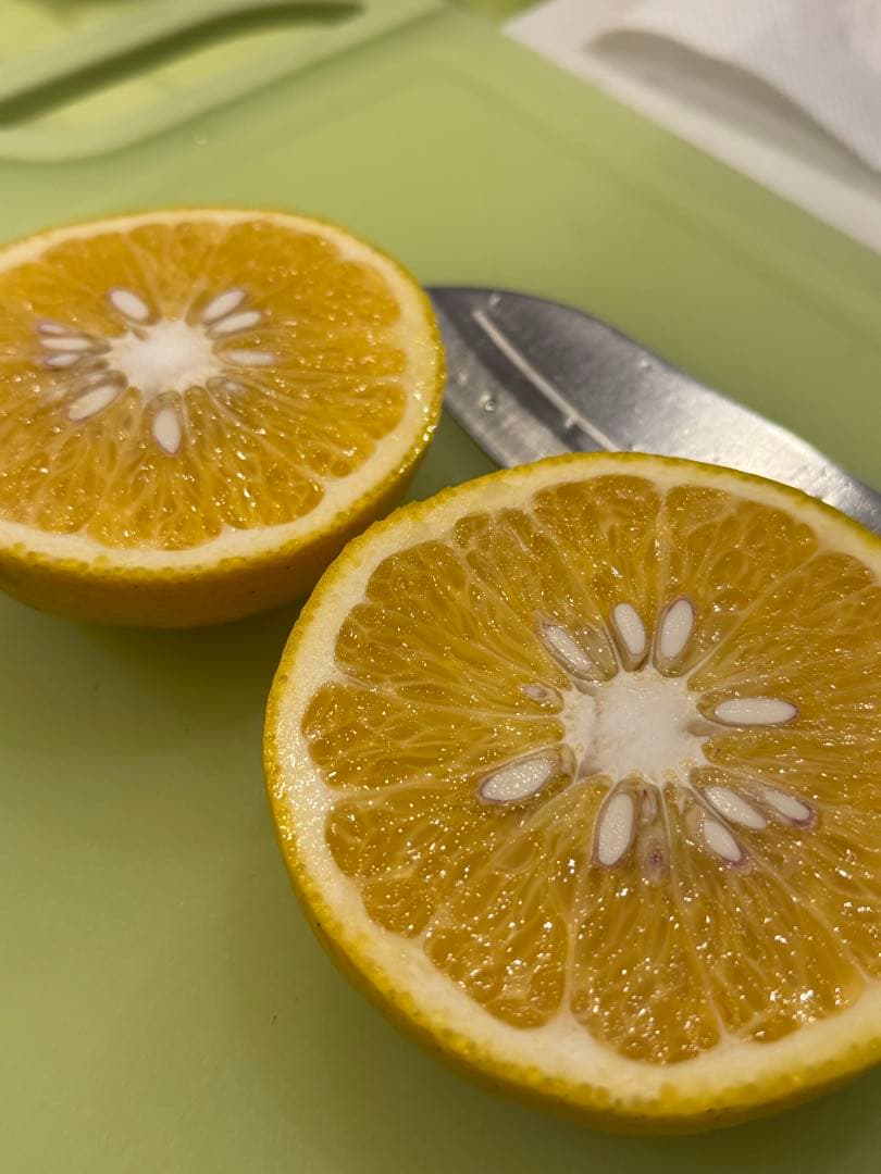 No.17【JUICY様】甘夏みかん 農薬不使用 27㎏ 静岡産、【日曜日発送】