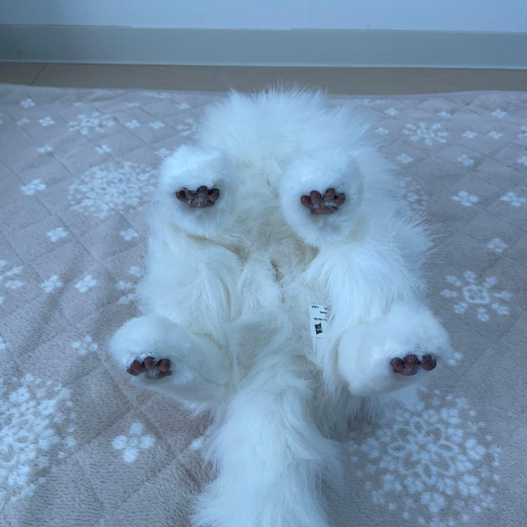 美品 猫型ロボット 夢ねこプレミアム 箱&付属品あり 可動品 セガトイズ 夢猫