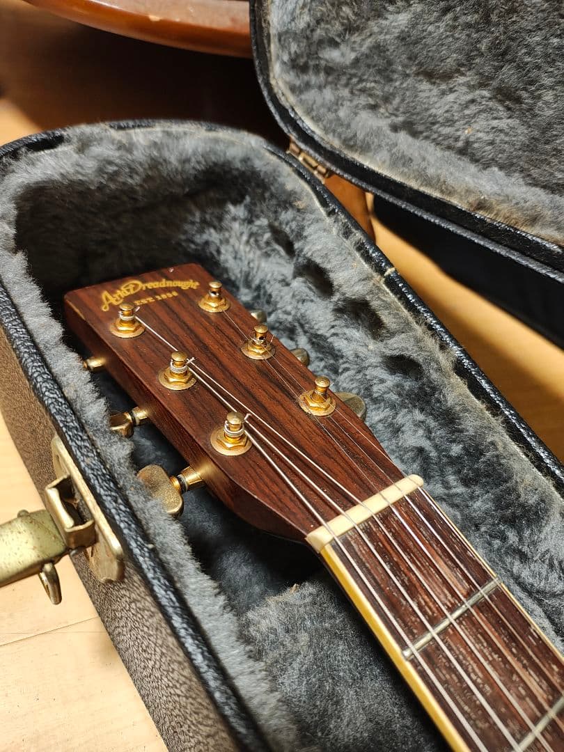 オール単板/Aria AF60/ハードケース