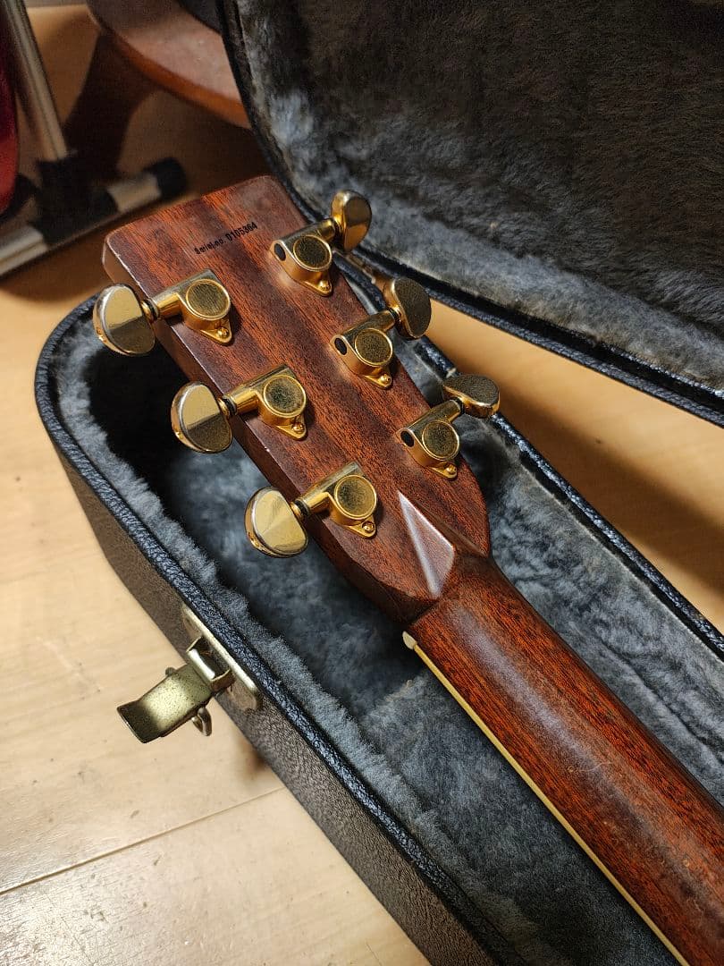 オール単板/Aria AF60/ハードケース