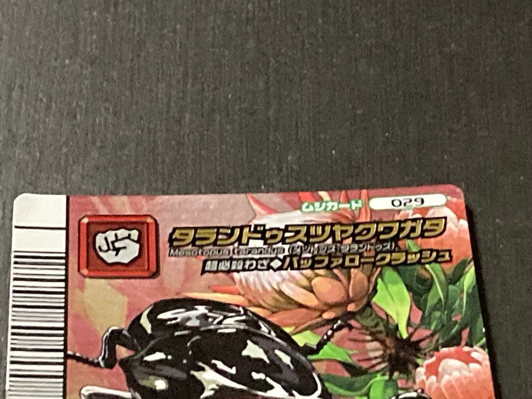 甲虫王者ムシキング　タランドゥスツヤクワガタ　5周年