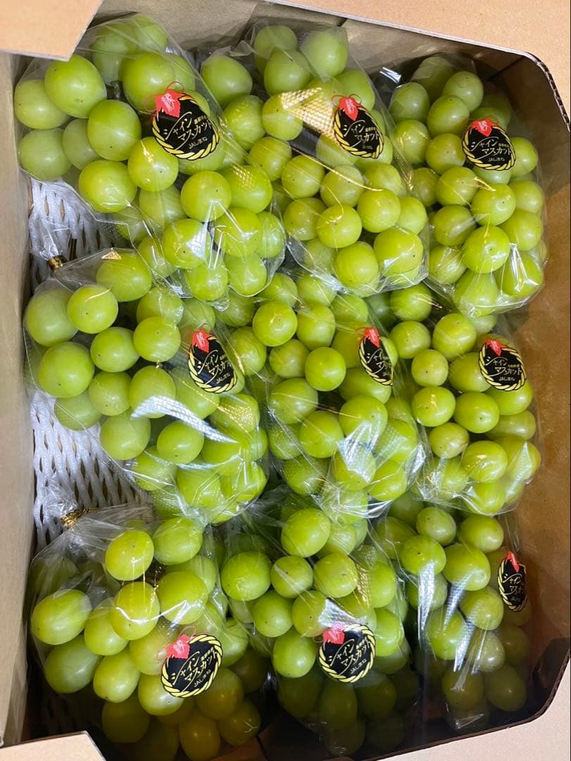 ⑧【島根県産】シャインマスカット約5キロ
