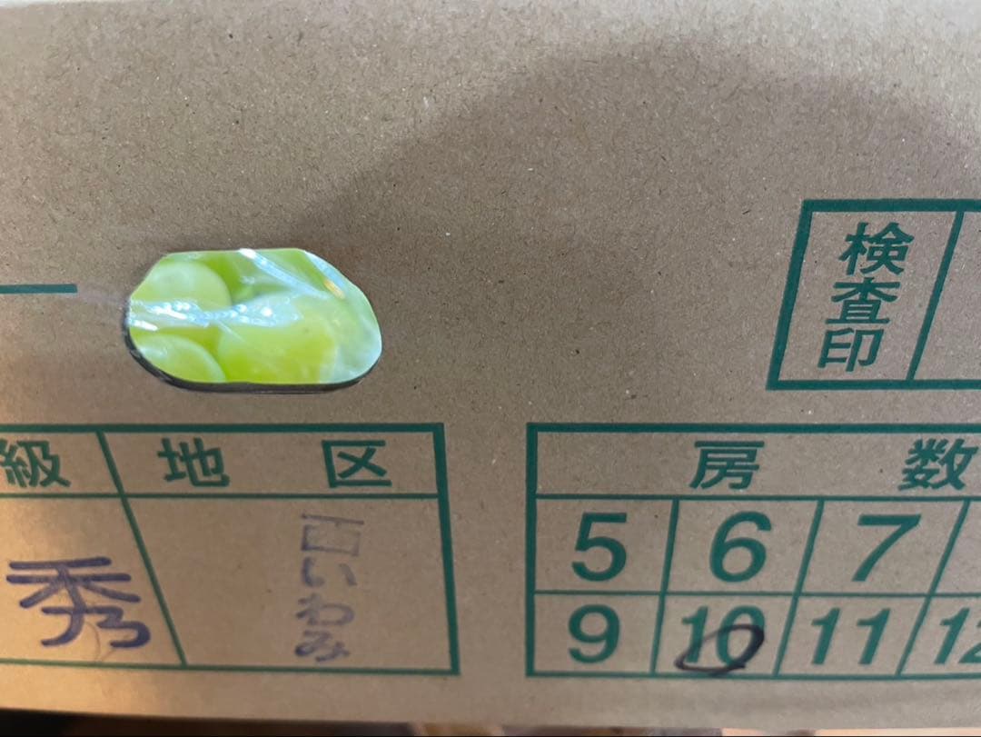 ⑧【島根県産】シャインマスカット約5キロ